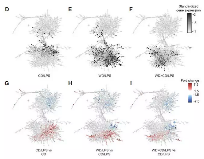QQ 截圖 20180112114957